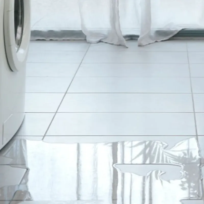 Appliance Leak Cleanup in Bridgewater, NH