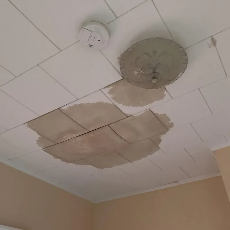 Ceiling Water Damage Repair in Bridgewater, NH